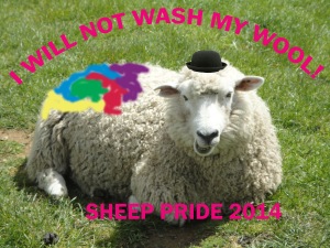 i will not wash my wool!